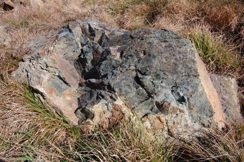 Lavorone di classificazione